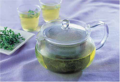 hario glass teapot infuser