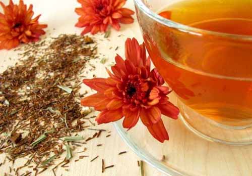 rooibos tea